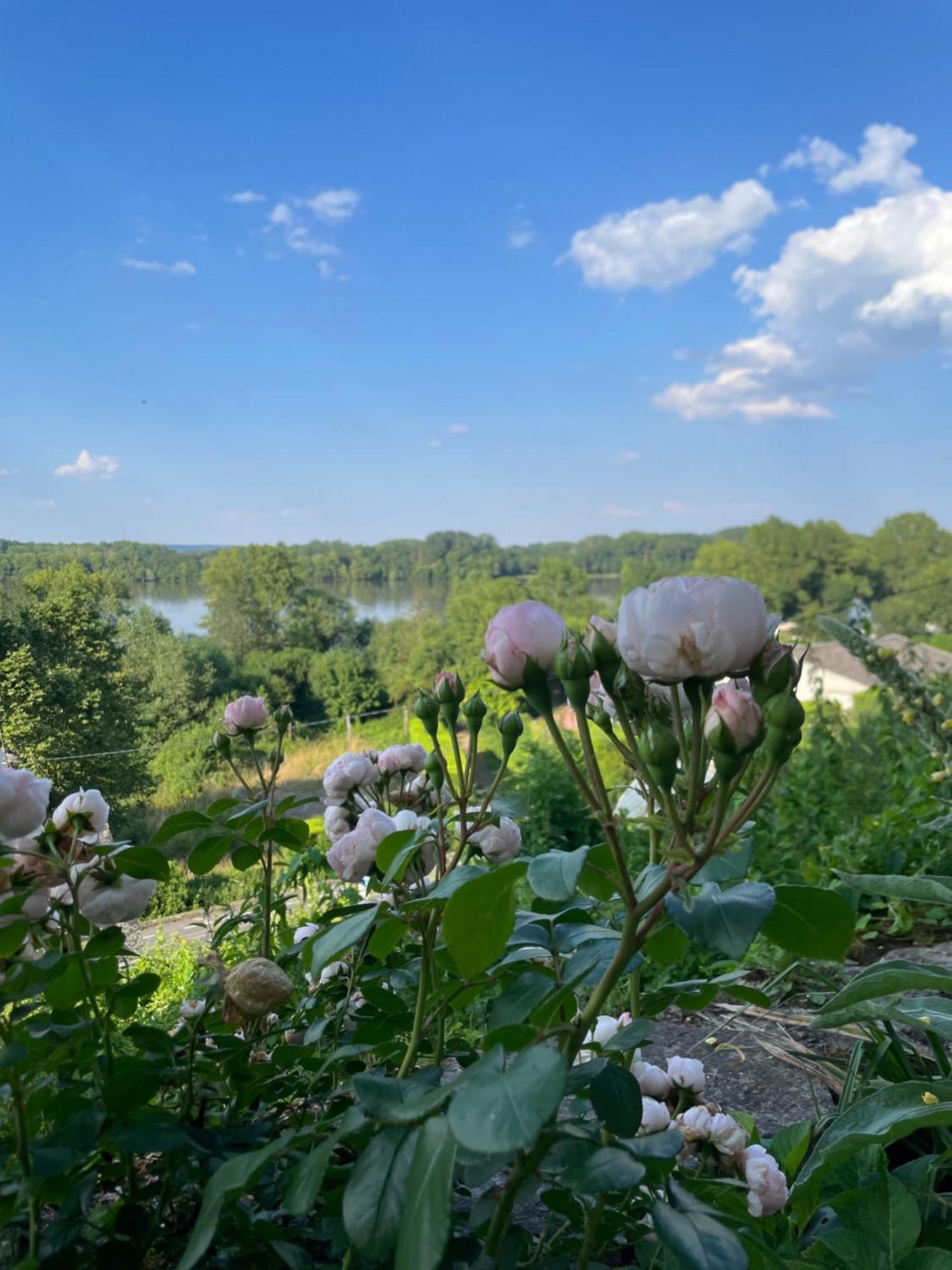 Gite Des Perreyeurs - Maison Troglodyte Avec Vue Sur Loire モンソロー エクステリア 写真